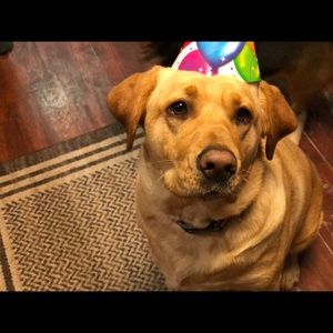 Meet your Posher, Jamie